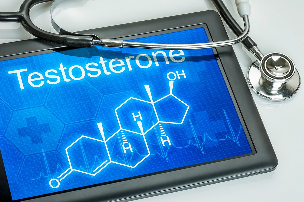 Тестостерон общий и свободный — в чем разница? 